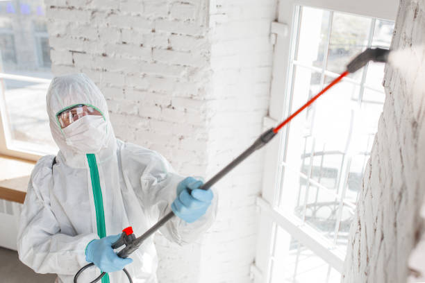 Best Mold Prevention Services  in Wauregan, CT