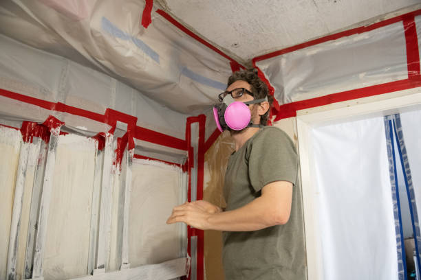 Best Comprehensive Air Testing for Mold Contaminants  in Wauregan, CT