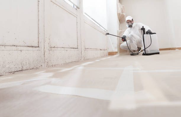 Best Asbestos and Lead Testing During Mold Inspection  in Wauregan, CT