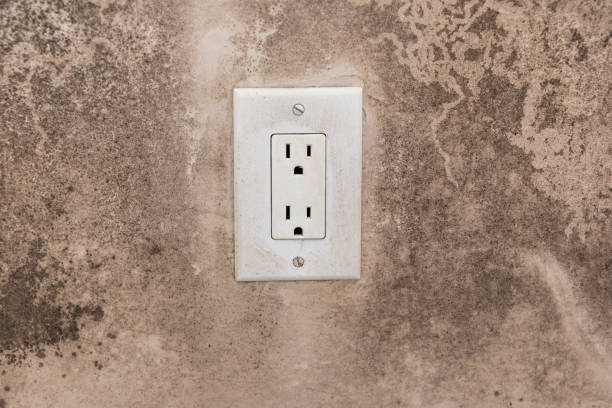 Best Mold Documentation for Insurance Claims  in Wauregan, CT