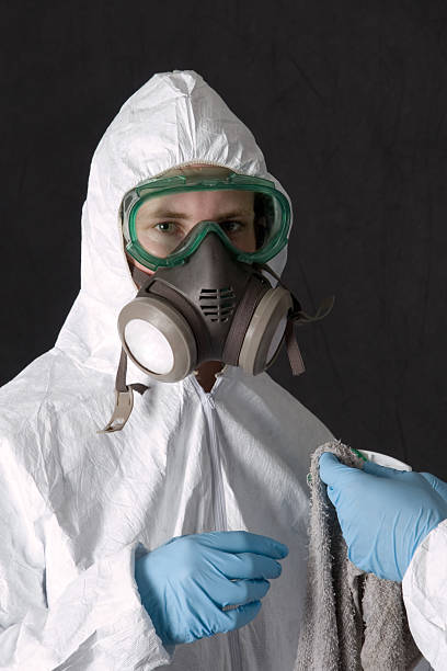 Best Crawl Space Mold Remediation  in Wauregan, CT